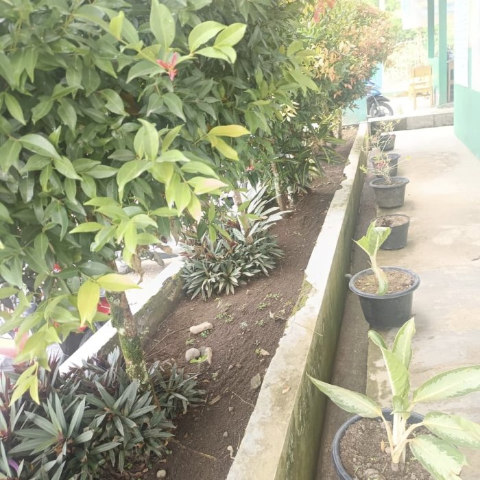 MAN 3 Kerinci Tekankan Pentingnya Kebersihan di Sekolah MAN 3 Kerinci Tekankan Pentingnya Kebersihan di Sekolah